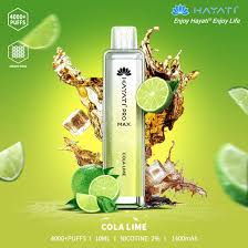 Hayati Pro Max 4000 Disposable Vape Pod - Hayati Pro Max 4000 Disposable Vape Pod - Vape Fast UK