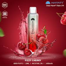 Hayati Pro Max 4000 Disposable Vape Pod - Hayati Pro Max 4000 Disposable Vape Pod - Vape Fast UK