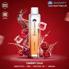 Hayati Pro Max 4000 Disposable Vape Pod - Hayati Pro Max 4000 Disposable Vape Pod - Vape Fast UK