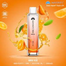 Hayati Pro Max 4000 Disposable Vape Pod - Hayati Pro Max 4000 Disposable Vape Pod - Vape Fast UK